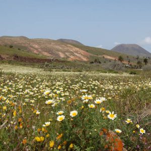 Lanzarote wandern mit Lanzatrekk