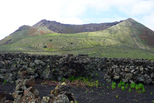 Wandern Lanzarote Tour 5: Monte Corona Vulkanismus