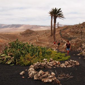 Wanderung Lanzarote Tour 11