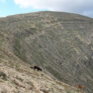 Lanzarote Wandern Lanzartrekk Tour 3 1