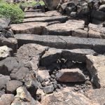 Lanzarote Wandern Altkanarier Lanzarote Gran Canaria