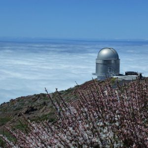 lanzatrekk wandern la palma
