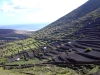 lanzatrekk-wandern-auf-lanzarote-tour-1-inseldurchquerung