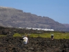 lanzatrekk-wandern-auf-lanzarote-tour-10-handelspfade-orzola-2