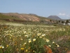 lanzatrekk-wandern-auf-lanzarote-tour-6-haria-spezial