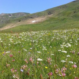 pyrenäen wandern lanzatrekk
