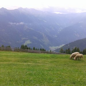 wandern pyrenäen lanzatrekk
