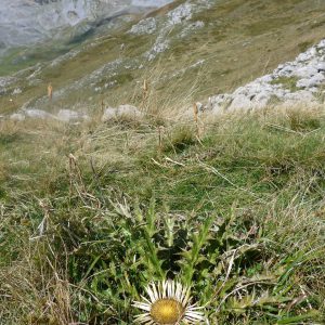 wandern pyrenäen lanzatrekk