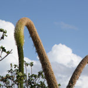 Lanzarote Wanderung Tour 8