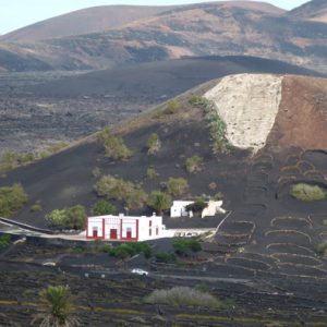 Lanzarote leicht und flach 2: La Geria