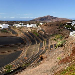 Lanzarote Weinanbau Mancha Blanca Lanzatrekk