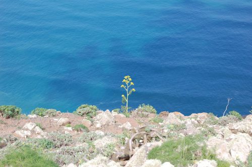 meer wanderurlaub lanzarote lanzatrekk