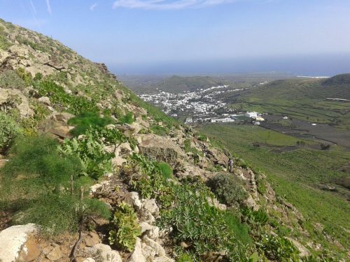 wanderurlaub lanzarote lanzatrekk