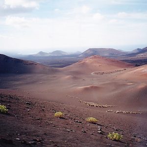 Lanzarote Lava Flechten Basalt