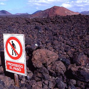 Lanzarote Lava Flechten Basalt