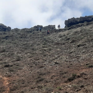 Lanzarote Altkanarier